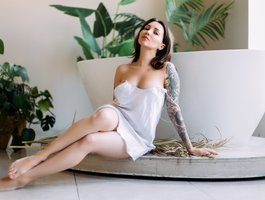 shiny-lily