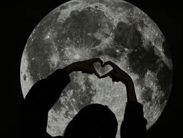-Moonlyss-