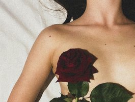 TheSluttyFox