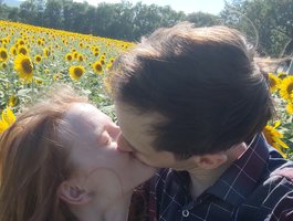 SweetFoxes