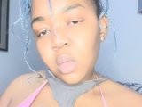 CANDYSHAKKERX