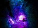 Marcbones23