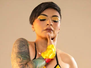 KatParadise