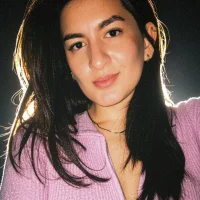 ari_artis