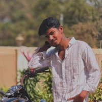 Handsome_star
