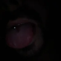 big_mandick3