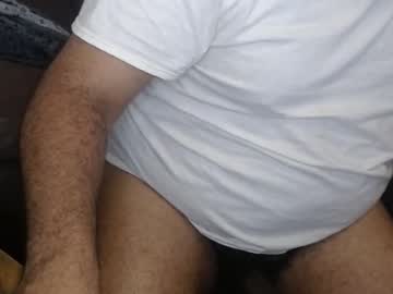Gato