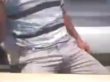 Big Brown Cock