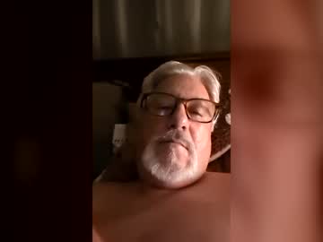 nysbear63