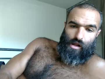 woof_wolf37